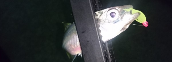 hideup 久次米良信 ブログ写真 2016/10/01