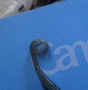 hideup 久次米良信 ブログ写真 2017/06/08