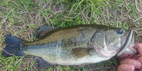 hideup 久次米良信 ブログ写真 2017/05/11