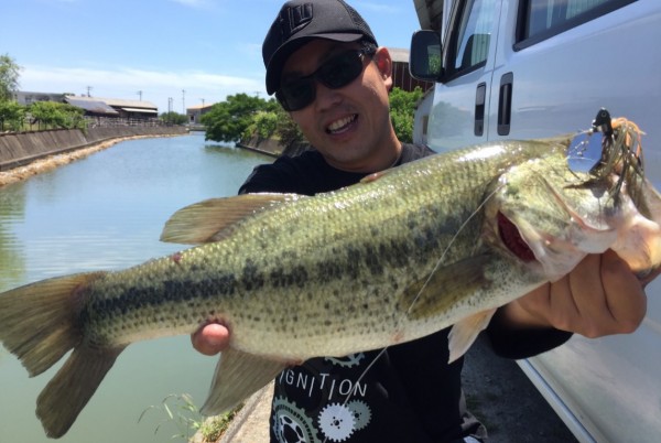 hideup 久次米良信 ブログ写真 2017/06/06