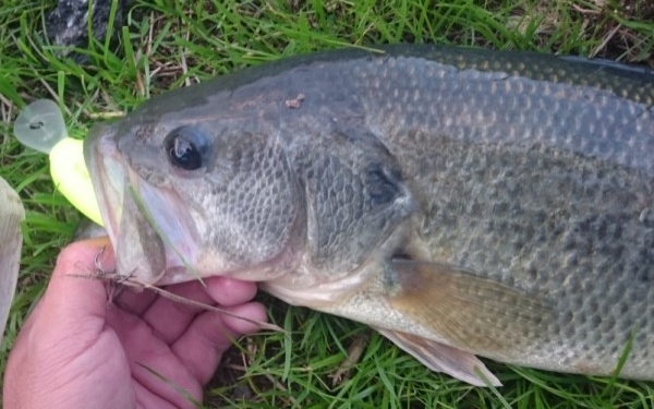 hideup 久次米良信 ブログ写真 2017/11/14