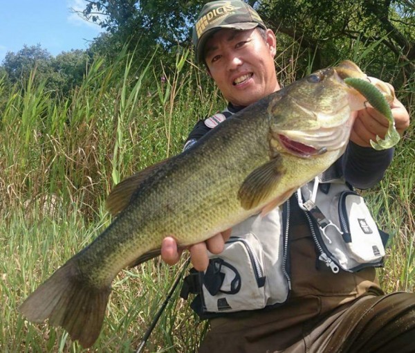 hideup 久次米良信 ブログ写真 2017/06/01