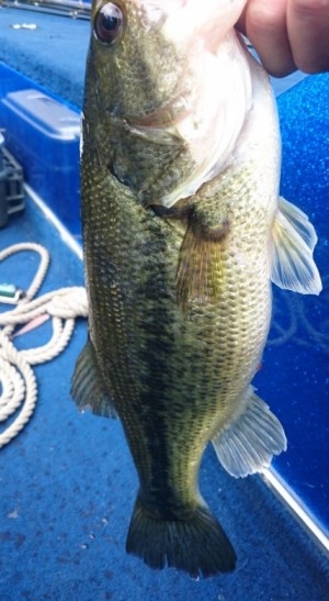 hideup 久次米良信 ブログ写真 2016/05/16