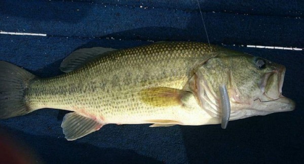 hideup 久次米良信 ブログ写真 2016/07/18