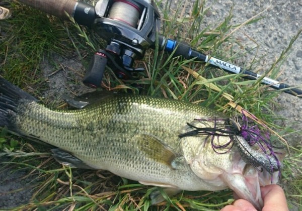 hideup 久次米良信 ブログ写真 2017/04/18