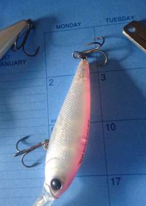 hideup 久次米良信 ブログ写真 2017/04/14