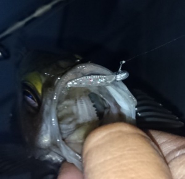 hideup 久次米良信 ブログ写真 2017/05/10