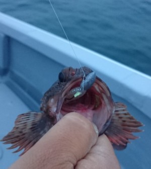 hideup 久次米良信 ブログ写真 2017/05/10