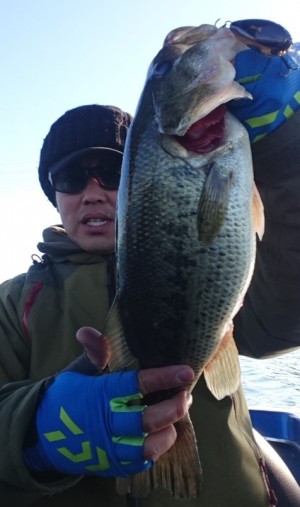 hideup 久次米良信 ブログ写真 2017/03/08