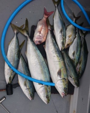 hideup 久次米良信 ブログ写真 2017/11/04