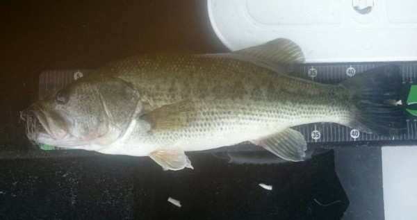 hideup 久次米良信 ブログ写真 2016/06/07