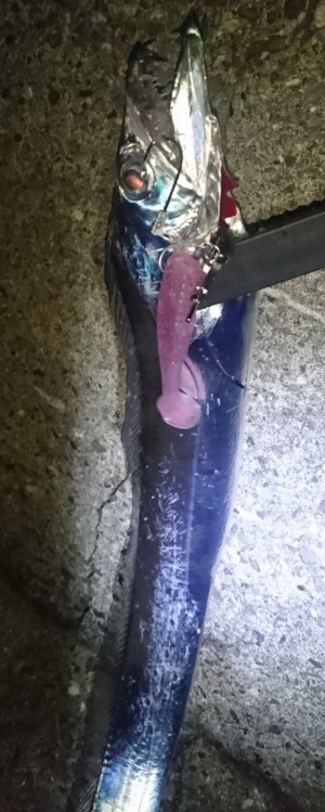 hideup 久次米良信 ブログ写真 2016/10/12