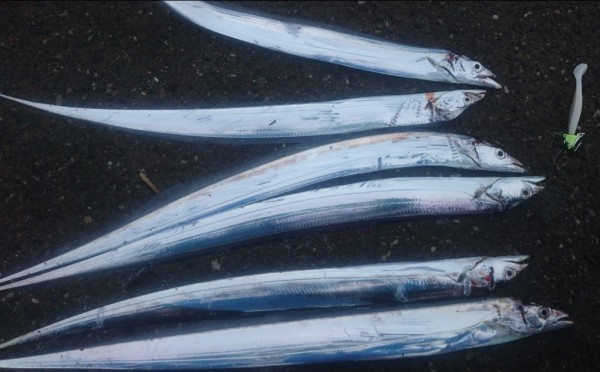 hideup 久次米良信 ブログ写真 2017/10/05