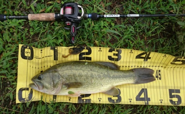 hideup 久次米良信 ブログ写真 2016/09/20