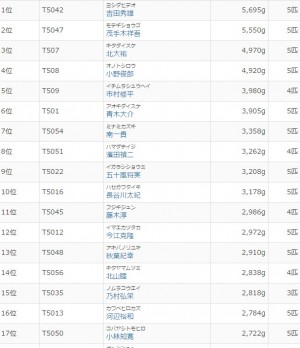 hideup 久次米良信 ブログ写真 2016/06/04