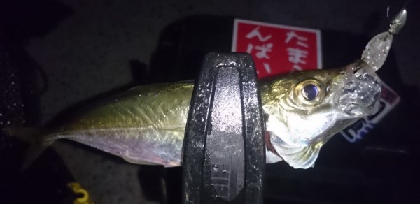 hideup 久次米良信 ブログ写真 2017/11/07