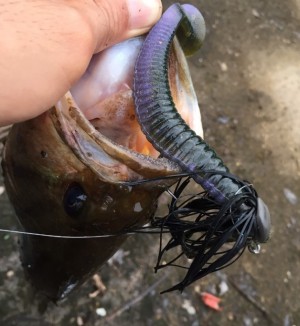 hideup 久次米良信 ブログ写真 2017/07/07