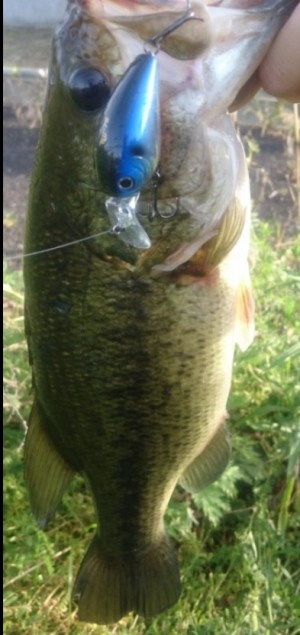 hideup 久次米良信 ブログ写真 2017/06/21