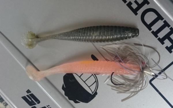 hideup 久次米良信 ブログ写真 2016/09/08