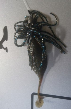 hideup 久次米良信 ブログ写真 2017/07/08