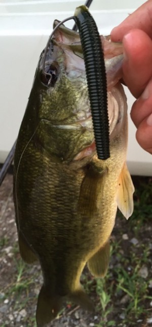 hideup 久次米良信 ブログ写真 2017/08/01