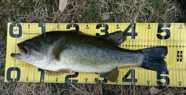 hideup 久次米良信 ブログ写真 2017/01/03