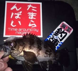 hideup 久次米良信 ブログ写真 2017/01/18