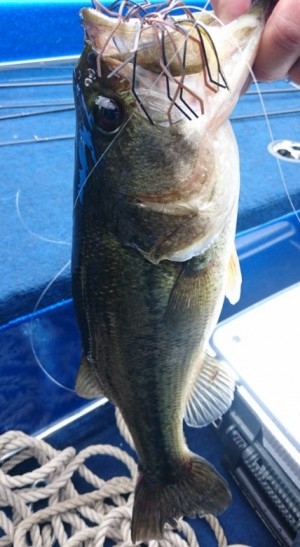 hideup 久次米良信 ブログ写真 2016/05/16