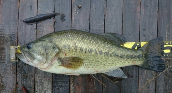 hideup 久次米良信 ブログ写真 2016/07/09