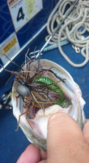 hideup 久次米良信 ブログ写真 2016/05/16