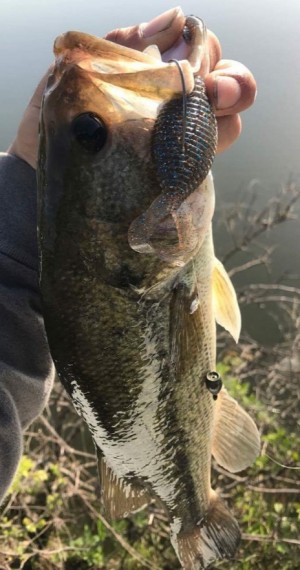 hideup 久次米良信 ブログ写真 2017/05/02