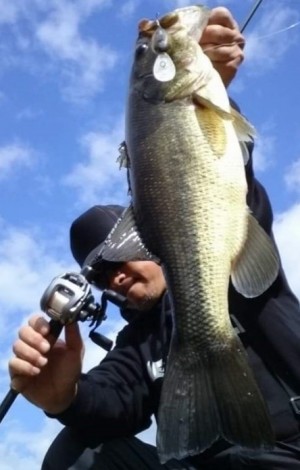 hideup 久次米良信 ブログ写真 2017/11/14