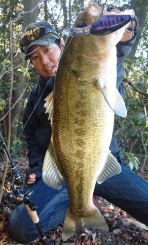 hideup 久次米良信 ブログ写真 2017/12/04