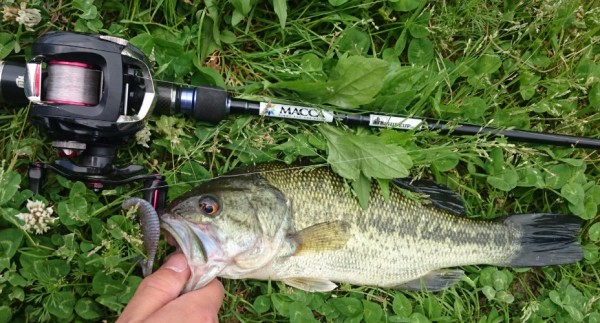 hideup 久次米良信 ブログ写真 2017/05/05