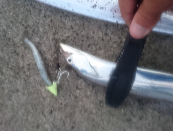 hideup 久次米良信 ブログ写真 2017/10/14