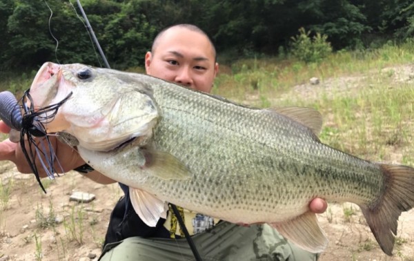 hideup 久次米良信 ブログ写真 2017/06/03