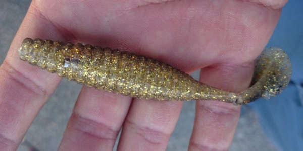 hideup 久次米良信 ブログ写真 2017/06/15