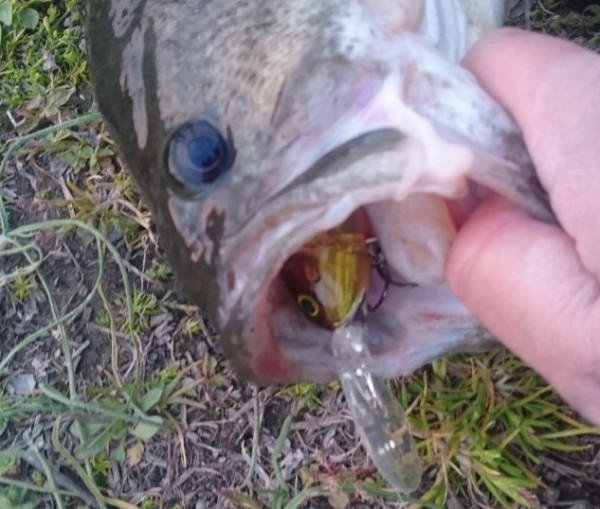 hideup 久次米良信 ブログ写真 2017/10/17