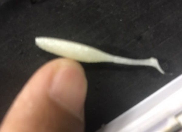 hideup 久次米良信 ブログ写真 2017/12/20