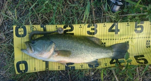 hideup 久次米良信 ブログ写真 2016/08/10