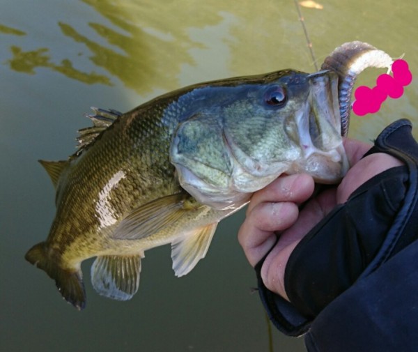 hideup 久次米良信 ブログ写真 2017/02/02