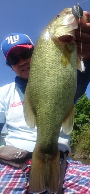 hideup 久次米良信 ブログ写真 2017/09/04