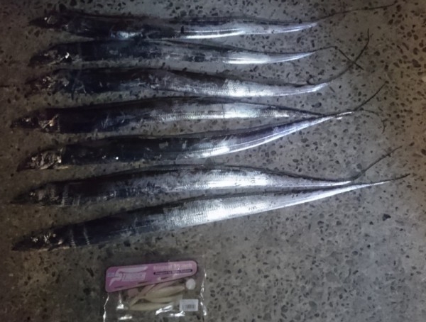 hideup 久次米良信 ブログ写真 2017/10/12