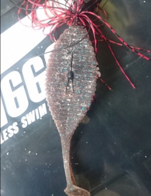 hideup 久次米良信 ブログ写真 2017/06/07