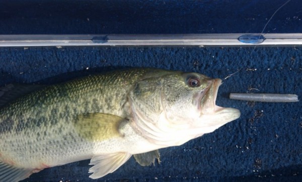 hideup 久次米良信 ブログ写真 2016/07/18