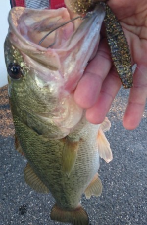 hideup 久次米良信 ブログ写真 2017/06/20