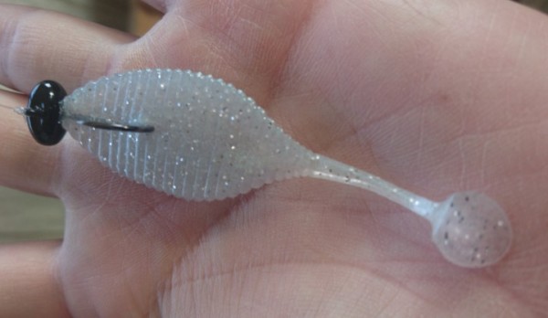 hideup 久次米良信 ブログ写真 2016/12/23