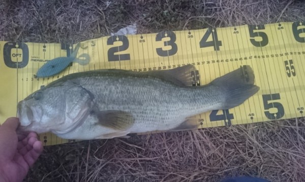 hideup 久次米良信 ブログ写真 2016/08/18