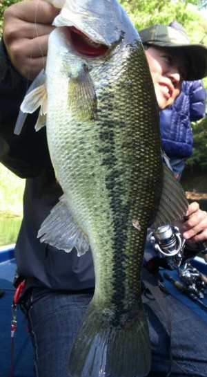 hideup 久次米良信 ブログ写真 2016/05/06