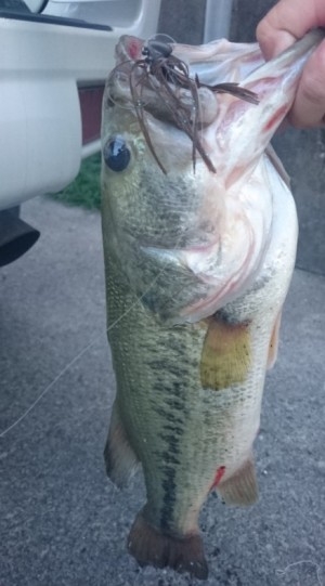 hideup 久次米良信 ブログ写真 2016/06/18